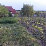 20170503_192121