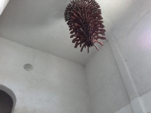 20170510_105420