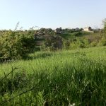 IMG_0478